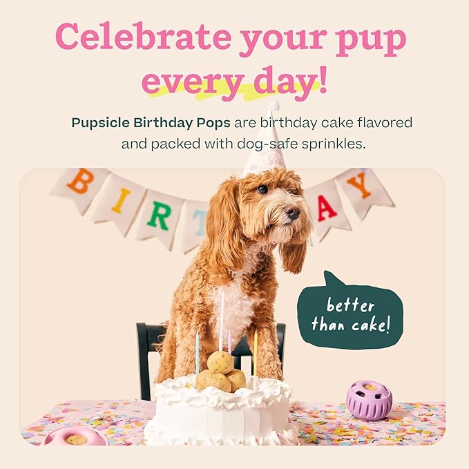 WOOF Pupsicle Birthday Pops - Healthy Dog Treats - Pre-Made Pupsicle Refills- Wholesome Ingredients - Naturally Sweet - Cake-Flavored Birthday Treat for Dogs - Large