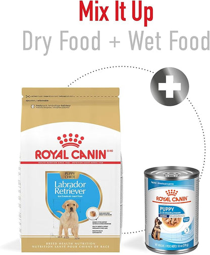 Royal Canin Breed Health Nutrition Labrador Retriever Puppy Dry Dog Food, 30 lb.