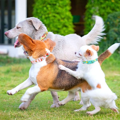 azuza 3 Pack Fruit Design Dog Collars Comfortable and Adjustable Nylon Dog Collars for Small Dogs, S (11-16inch)ï¼_trawberryï¼_emon and Cherry