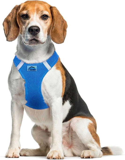 Doggie Design Dog Harness - No Choke Dog Harness, Dog Vest, Mesh Polyester, Pet Harness, Simple Step in and Go Design, Harness for Dog - Cobalt Blue, XL
