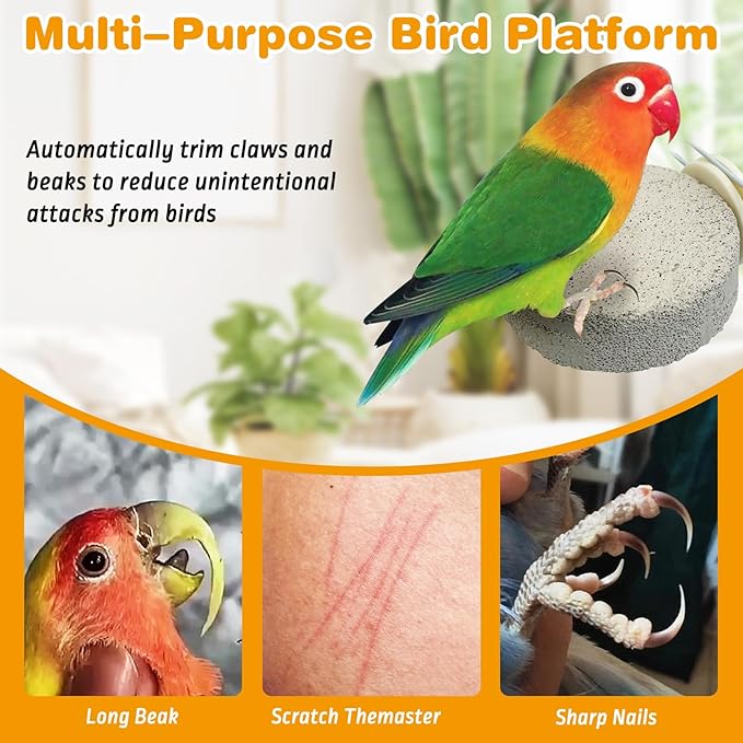 PINVNBY 6 PCS Bird Perch Parrot Beak Grinding Stone Calcium Mineral Parrot Perch Foot Claws Trimmer Chewing Toy Bird Cage Accessories for Small Medium Budgie Cockatiel Conure Lovebird (Lune)