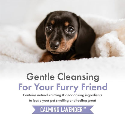 Petkin Hemp Shampoo & Conditioner for Dogs and Cats  with Hemp Oil & Calming Lavender Extract, 16 fl oz  Soothes, Calms & Conditions, Keeps Pet Smelling Great  for Home and Travel