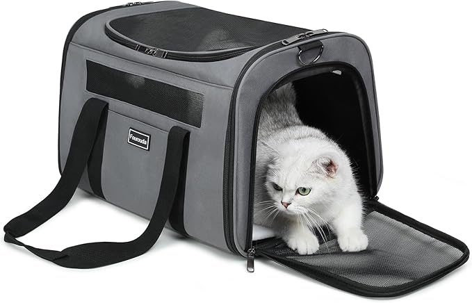 Cat Travel Carrier - Foldable Dog Carrier Bag, Soft Sided cat Carrier up to 20 Lbs,Pet Carrier Soft-Sided Escape Proof with 4 Ventilated Windows, Airline Approved Travel Puppy Carrier (Grey)