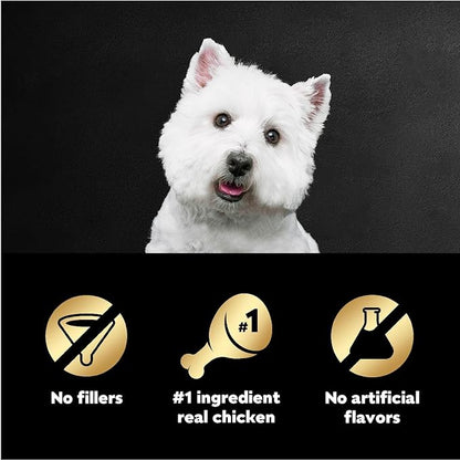 Cesar Filets in Gravy Wet Dog Food Rotisserie Chicken Flavor, 1.76 oz. Mini-Pouch, 20 Pack