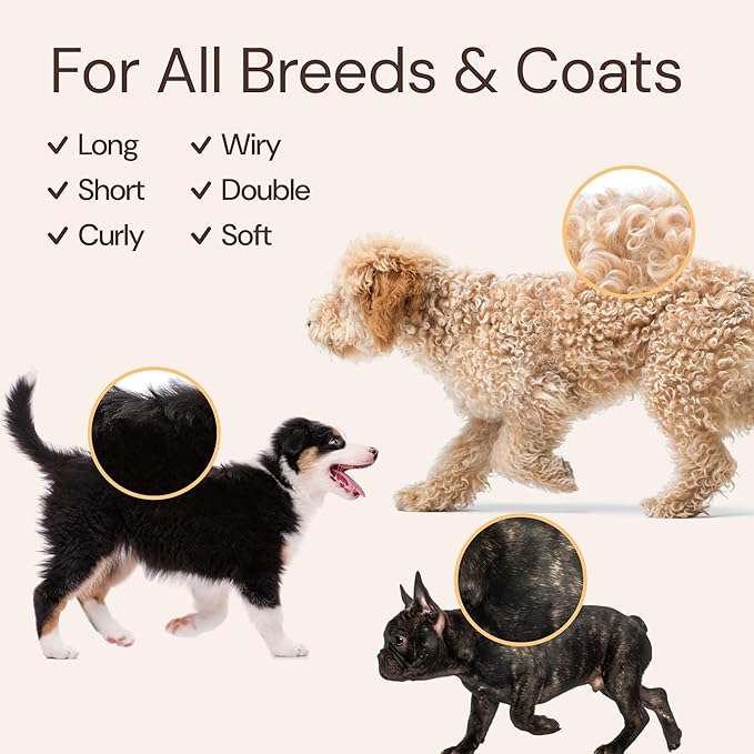 Sunny & Honey Bath Bundle - Dog Shampoo and Conditioner, Perfume, Brush for Shedding & Microfiber Towel - Moisturize & Detangle - Dog Wash & Cologne Spray (Coconut Shampoo 16oz & Breeze Perfume 8oz)