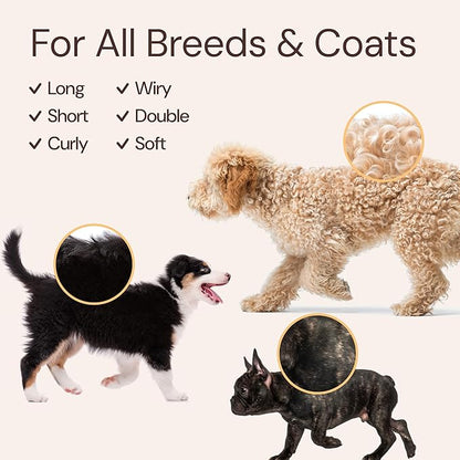 Sunny & Honey Bath Bundle - Dog Shampoo and Conditioner, Perfume, Brush for Shedding & Microfiber Towel - Moisturize & Detangle - Dog Wash & Cologne Spray (Coconut Shampoo 16oz & Breeze Perfume 8oz)