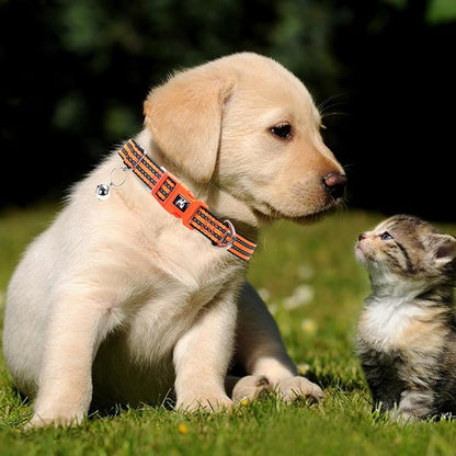 Adjustable Reflective XS/XXS Dog Collar with Bell - Nylon Puppy Collar for Chihuahua, Pomeranian, Small Dogs, Nighttime Safety, Orange XS