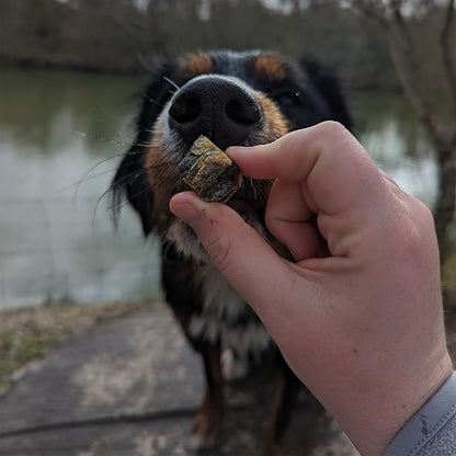 SKIPPER'S Salmon Skin Cubes - 100% Salmon Skin Grain Free & Hypoallergenic Cubes for Dogs, All Natural & Healthy Dog Treats, Omega 3 & 6 Oil, Great for Skin, Coat & Joints | (9 Oz)