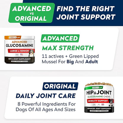 STRELLALAB Advanced Glucosamine Hip & Joint Supplement for Senior Dogs - Green Lipped Mussel & Collagen - Hip & Joint Pain Relief - Large & Small Breed - Joint Health - Bacon - 120 Chews