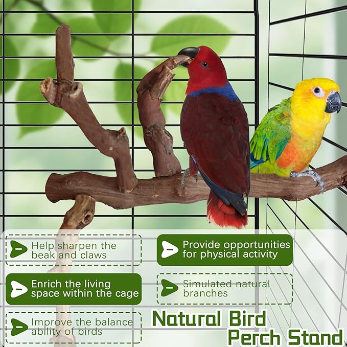 Bird Perch Stand Natural Parrot Perch for Cage Parakeet Climbing Platform Branches Swing Toy Cage Accessories for Cockatiels Lovebird Finches Canaries Budgie