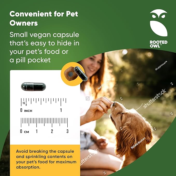 Rooted Owl Blood Support - Immunity, Recovery and Iron Supplement for Dogs & Cats - Anemia Support with Spirulina and Chlorella - 60/ct Vegan Capsules