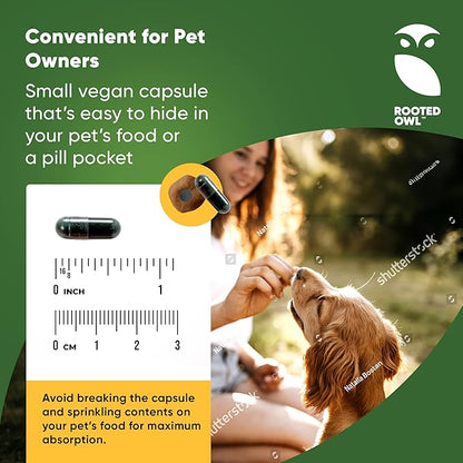 Rooted Owl Blood Support - Immunity, Recovery and Iron Supplement for Dogs & Cats - Anemia Support with Spirulina and Chlorella - 60/ct Vegan Capsules