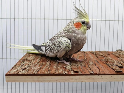 13.6 _ 7.9 inch Large Bird Perch Stand Platform, Natural Wooden Small Animals Cage Accessories, Rectangle Stand Perch Shelf for Parrot Parakeet Cockatiel Rat Hamster Guinea Pig Conures Chinchillas