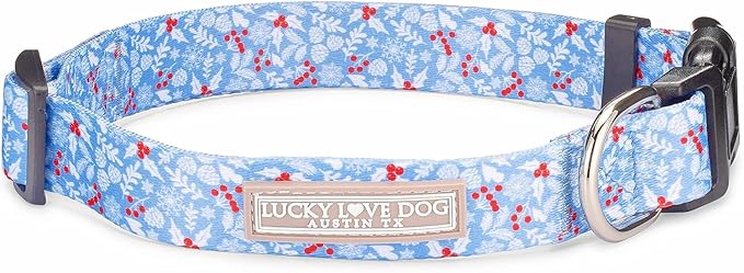 Lucky Love Dog Collar, Cute Winter Dog Collars for Large Dogs, Blue Snowflake Dog Collar for Male and Female Dogs, Part of Purchase Donated to Dog Rescue - (Winterblue Collar, XL)