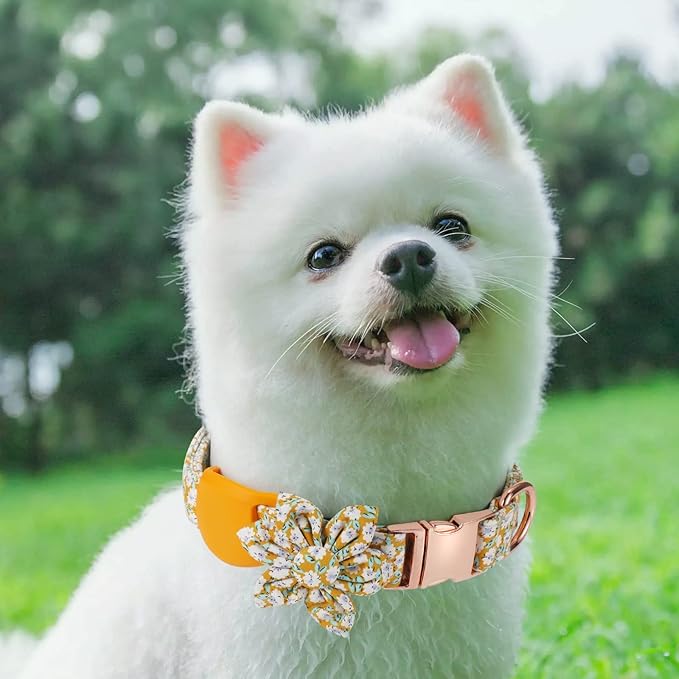 Airtag Dog Collar Holderï¼_nti-Lost Silicone Case Accessories for Air Tag GPS Trackingï¼_ompatible with Dogs Cats Pets Collar (1 Pack, Yellow)