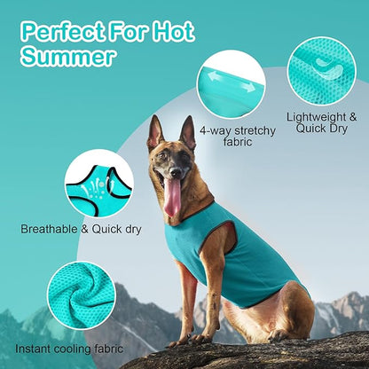 2 Pack Cooling Shirts for Dogs, Lightweight Mesh Breathable Dog Clothes for Large Dogs Boy Girl,Sports Fan Pet T-Shirts for Dog&Cat Puppy Vest Pet Apparel - XXL