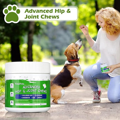 Advanced Hip and Joint Supplements for Dogs Joint Pain Relief with Glucosamine, Chondroitin, MSM, Vitamins C, 90 Soft Chews, Chicken Flavor