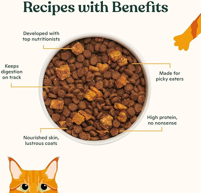 Made by Nacho Dry Cat Kibble 2lb Bag, High Protein Premium Cat Food with Freeze-Dried Pieces, Cage-Free Chicken, Duck & Quail, Limited Ingredients, Single Bag