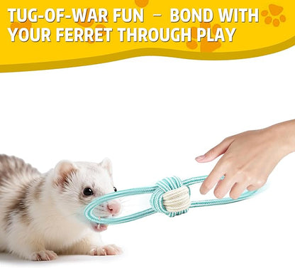 15 Pack Ferret Chew Toys and Accessories Ferret Bell Balls Squeaky Teething Pet Toys Ferret Plushies Sound Toy for Interactive Pet Ferret Cat Dog Small Animal