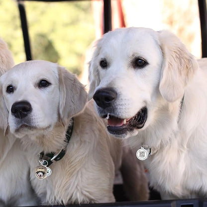 Dog Tags Personalized QR Code Dog Tags, Retro Brass Personalized Pet ID Tags Modifiable Pet Online Profile (Corgi-1)