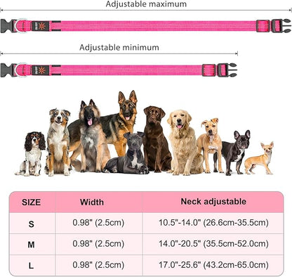 BSEEN Light Up Dog Collars - Glowing LED Dog Collar, Reflective Puppy Collar, Adjustable Lighted Dog Collar, Rechargeable Pet Collar for Night Walking (Pink-II, Large)