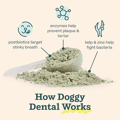 WOOF Dental Kit- Includes Pupsicle Dog Toy, Treat Tray, Shaker Bottle, Chicken Pupsicle Pops, and Dog Teeth Cleaning Powder - Supports Oral Health for Dogs - Large