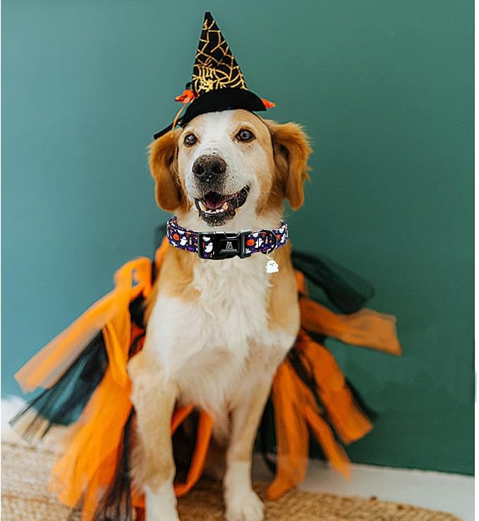 Lionheart glory Dog Collars Fall Halloween Pumpkin Collar Dog Heavy Comfortable Adjustable Dog Collar for Large Collar Dogs Girls or Boys Dog Collar Cute Pet Gift