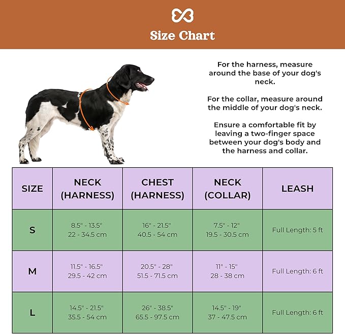 Dog Harness and Leash Set | BearBone No Pull Dog Harness and Waterproof Dog Collar and Leash Set | Heavy Duty Dog Harness, Leash and Collar | Small Dog Harness and Leash Set (Brown, Small)
