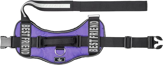 Doggie Stylz No Pull Dog Harness for Small, Medium, Large Dogs - Fully Adjustable - Reflective Best Friend Patches with Handle - No Choke Design - Dog Collars, Harnesses & Leashes - Pet Vest