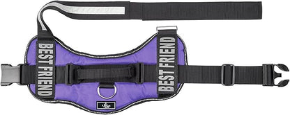 Doggie Stylz No Pull Dog Harness for Small, Medium, Large Dogs - Fully Adjustable - Reflective Best Friend Patches with Handle - No Choke Design - Dog Collars, Harnesses & Leashes - Pet Vest