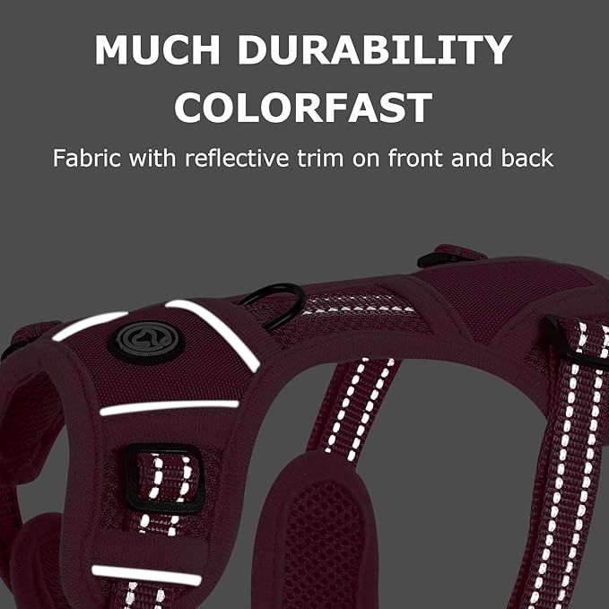 Dog Harness Small Sized Dog, No Pull Pet Harness with 2 Leash Clips, Adjustable Soft Padded Dog Vest Harnesses, Reflective No-Choke Pet Oxford Vest