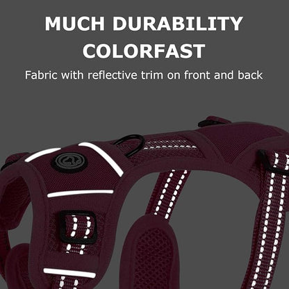 Dog Harness Small Sized Dog, No Pull Pet Harness with 2 Leash Clips, Adjustable Soft Padded Dog Vest Harnesses, Reflective No-Choke Pet Oxford Vest