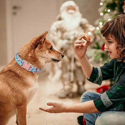 Christmas Dog Collars for Large Dog,Blue Santa Claus Dog Collar with Safety Metal Buckle Adjustable Puppy Collars for Small Medium Dog,Boy&Girl&Male&Female Dog Gift,XL-16-26"