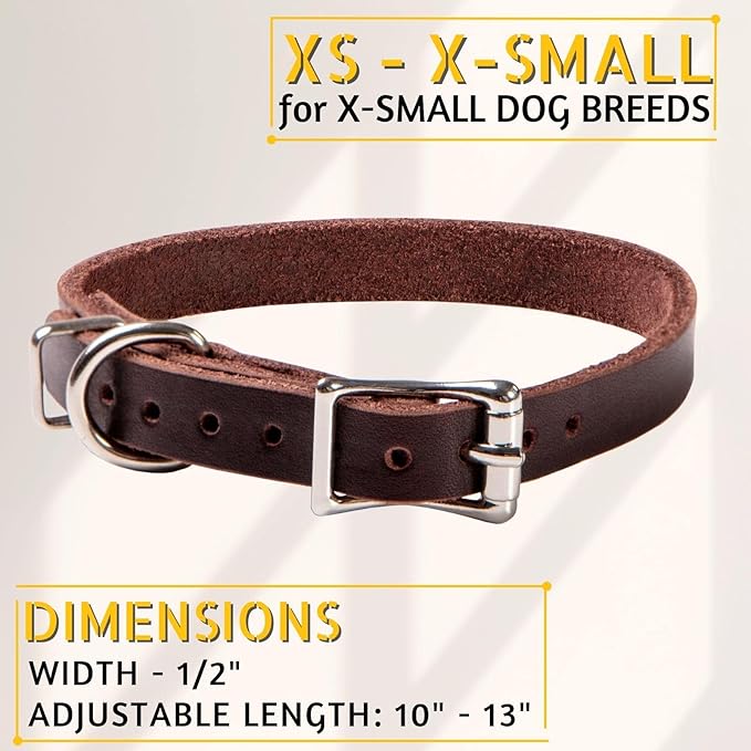 Adityna - Leather Dog Collar for Extra-Small Dogs and Puppies - Classic Style, Soft and Strong, Heavy Duty Leather Dog Collars for XSmall Dogs (XS - Neck: 10-13 inches, Brown)