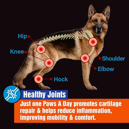 Glucosamine for Dogs Hip & Joint Supplement  _wo-in-One Combo Dog Joint Care and Improved Skin & Coat with Chondroitin, MSM, Omega 3, Collagen & Biotin, 60 Chewable Tablets