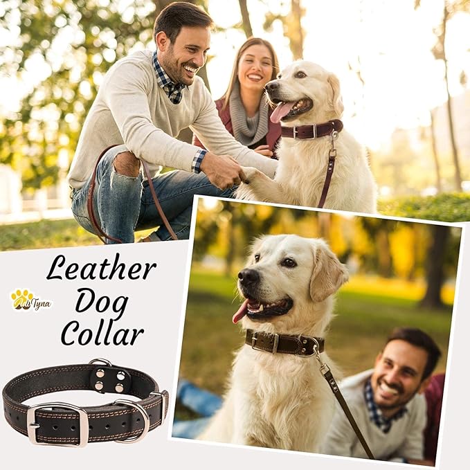 ADITYNA Heavy Duty Leather Dog Collar for Large Dogs - Soft and Strong Leather Dog Collar for Walking and Training (Large: Fit 17" - 23" Neck, Black)