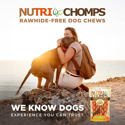 NutriChomps Dog Chews, 6-inch Braids, Easy to Digest, Rawhide-Free Dog Treats, Healthy, 4 Count, Real Peanut Butter Flavor