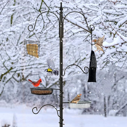 Premium Bird Feeding Station Kit - Multi Feeder Hanging Set with Suet Cage, Bird Bath & Finch Sock Attractors