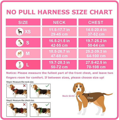 Dog Harness Small Sized Dog, No Pull Pet Harness with 2 Leash Clips, Adjustable Soft Padded Dog Vest Harnesses, Reflective No-Choke Pet Oxford Vest