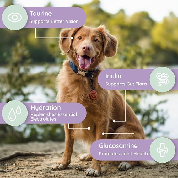Dog Electrolytes and Joint Supplement | Hydration Support for Dogs w/Glucosamine, Chondroitin & More | Electrolytes for Dogs with Prebiotics | Unflavored | 32 Packets