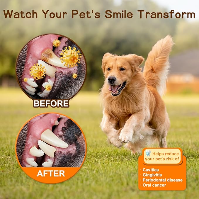 Dog Teeth Cleaning Wipes, Dental Finger Wipes for Cats & Dogs, No-Rinse Dog Finger Toothbrush, Removes Plaque & Tartar, Freshens Breath, Gentle Gum Care, Disposable Pet Oral Wipes, 50 Count