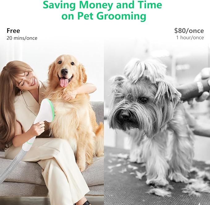 IDEALHOUSE Dog Hair Vacuum and Grooming Kit, 2L Dust Cup with 5 Grooming Tools, High Suction Power for Shedding Pet Hair, Low Noise for Stress-Free Grooming, Home Cleaning, White and Green