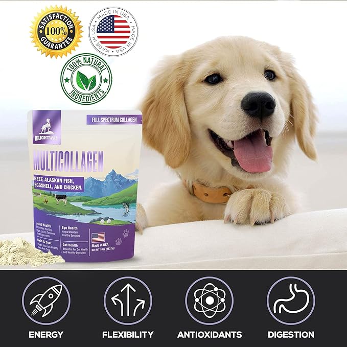 Multi-Collagen Peptide Daily Liquid Collagen for Dogs, Dog Collagen, Eggshell Powder Membrane for Dogs - Arthritis, Skin & Coat Health, Allergies,Dog Mobility Hip & Joint Pain Joint Supplement Relief