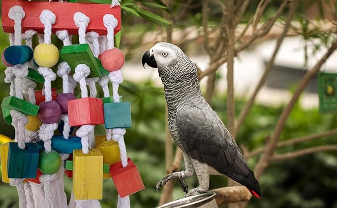 Extra Large Parrot Bird Toys for Macaws, Amazon Parrots, African Grey- Birds Cage Accessories