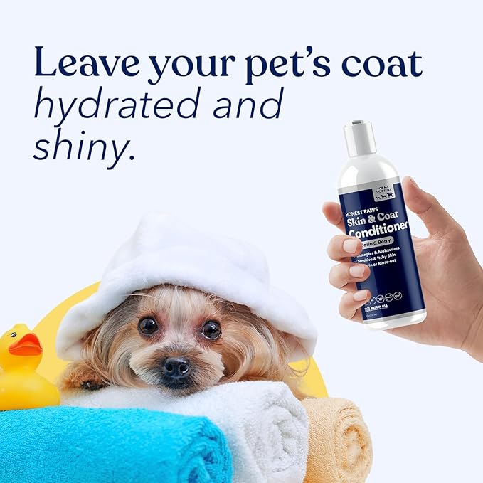 Honest Paws Dog Conditioner - Detangle & Moisturize - Premium Pet Conditioner for Itchy and Dry Skin - Hydrate Sensitive Skin - Shiny Coat Soft Hair Smooth Fur - Mandarin & Berry - 8oz
