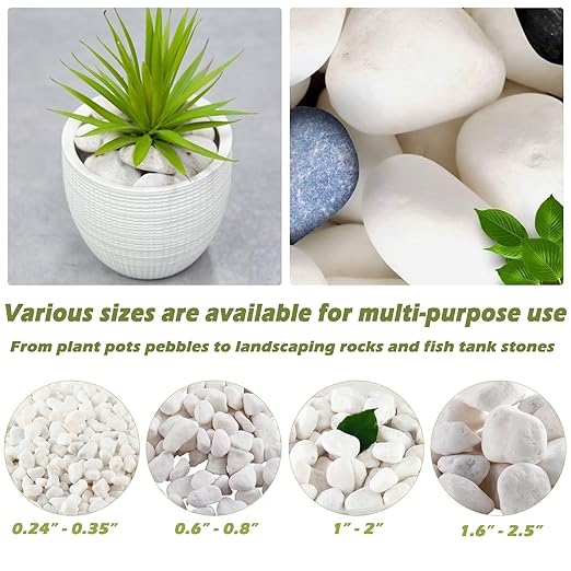 18.7 Lbs Natural River Rocks for Plants 1.6"-2.5" Small White Landscaping Garden Stones White Aquarium Gravel for Decorative Pebbles for Indoor Outdoor Planters