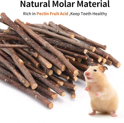 Natural Apple Sticks, 500g Treats Food for Small Animals, Chew Toys for Chinchilla Guinea Pigs Rabbit Squirrel Hamster Bunny
