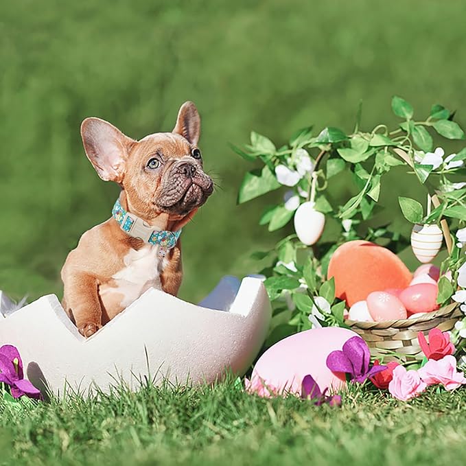 DOGWONG Easter Dog Collar - Cute Flower Bunny Eggs Pink Adjustable Collar for Medium Dogs