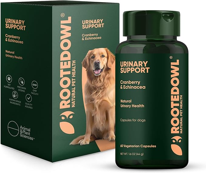 Rooted Owl Urinary Support - Echinacea and Cranberry Supplement for Dogs - Dog UTI Prevention - 60/ct