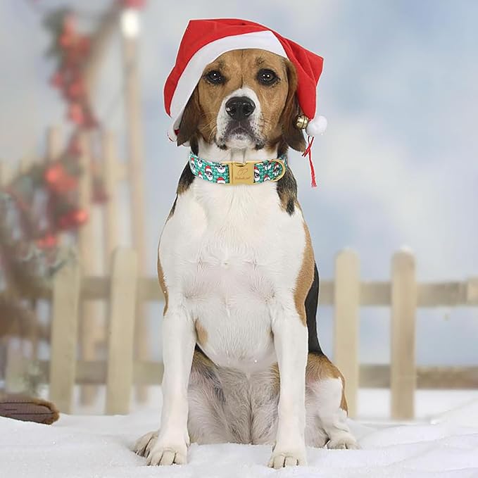 Christmas Dog Collars for Small Dog,Green Santa Claus Dog Collar with Safety Metal Buckle Adjustable Puppy Collars for Medium Large Dog,Boy&Girl&Female Dog Gift,XS-8"-13"